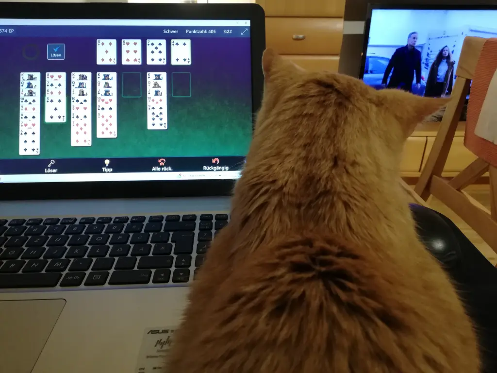Multitasking