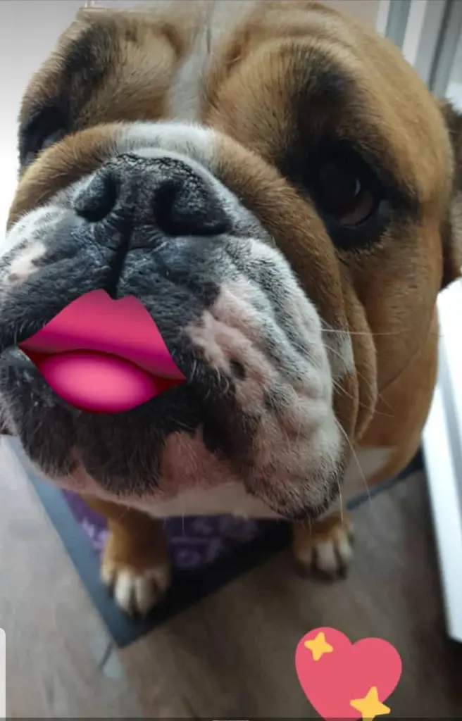 Bild von Bubbles