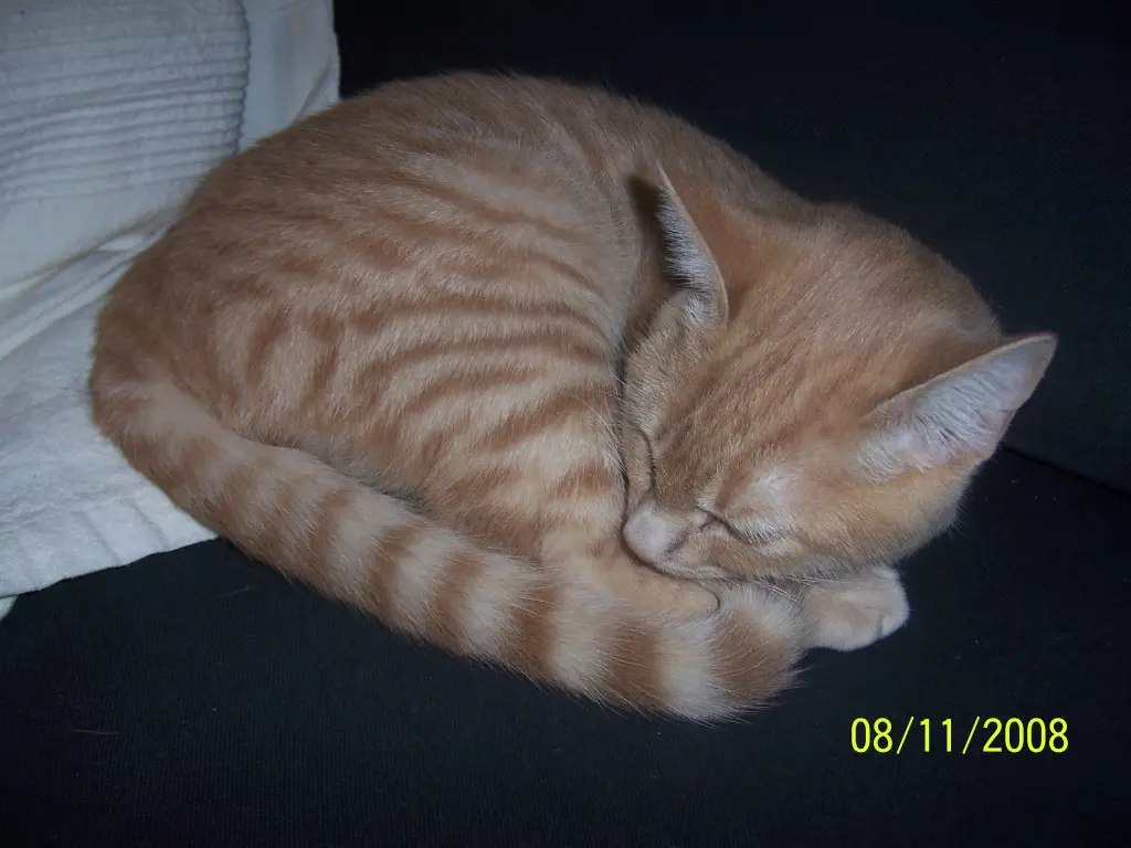 Bild von Fiona