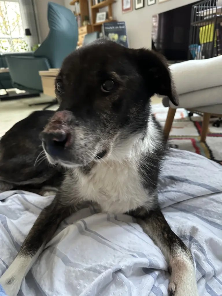 Bild von Zeus