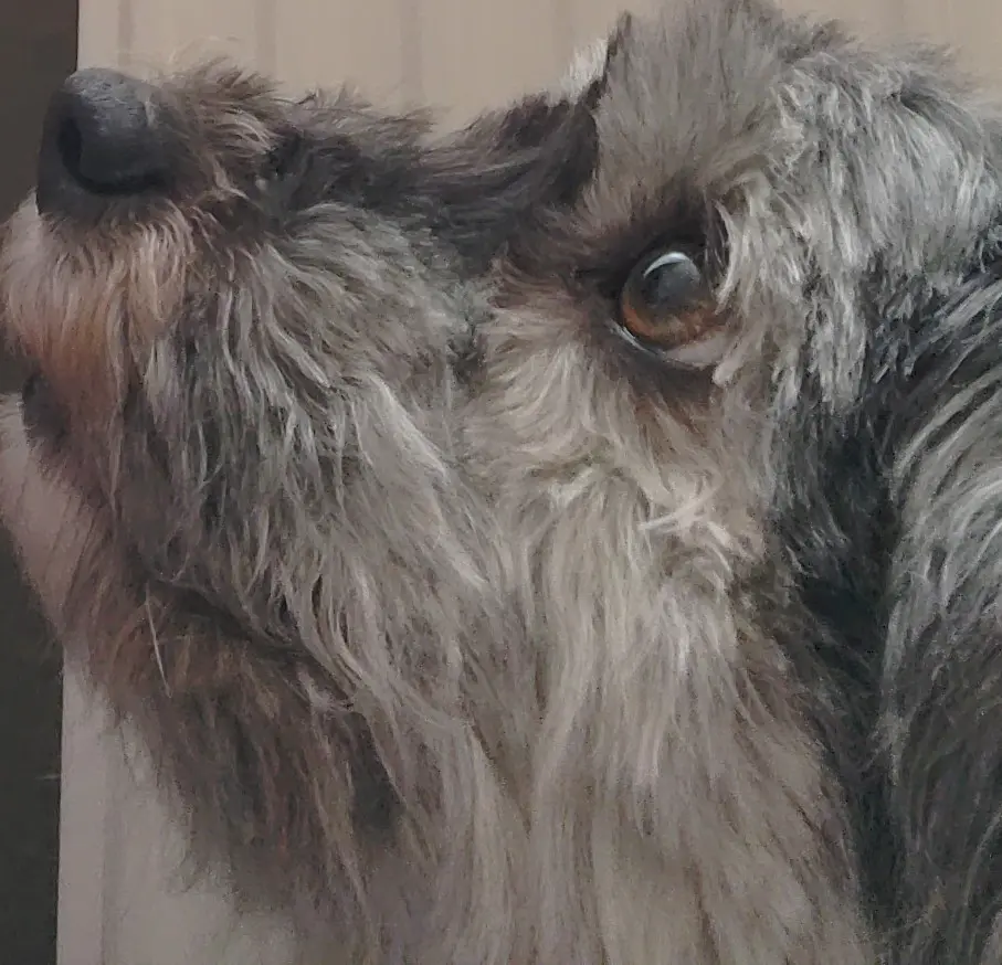 Bild von Winnie