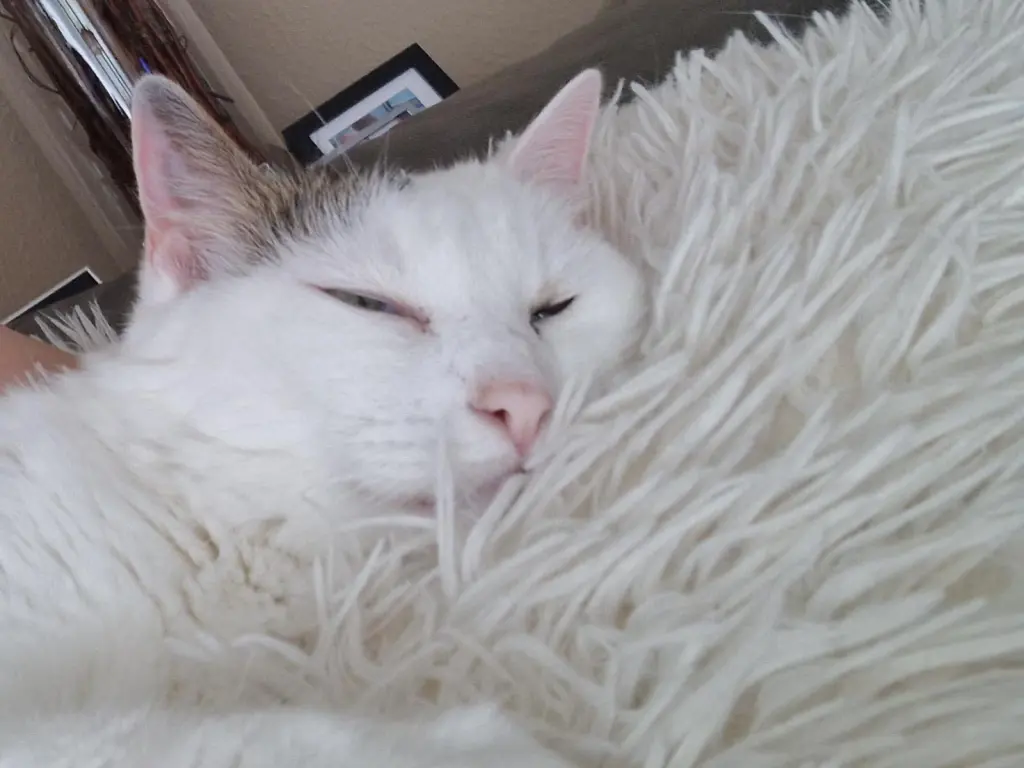 Bild von Cindy