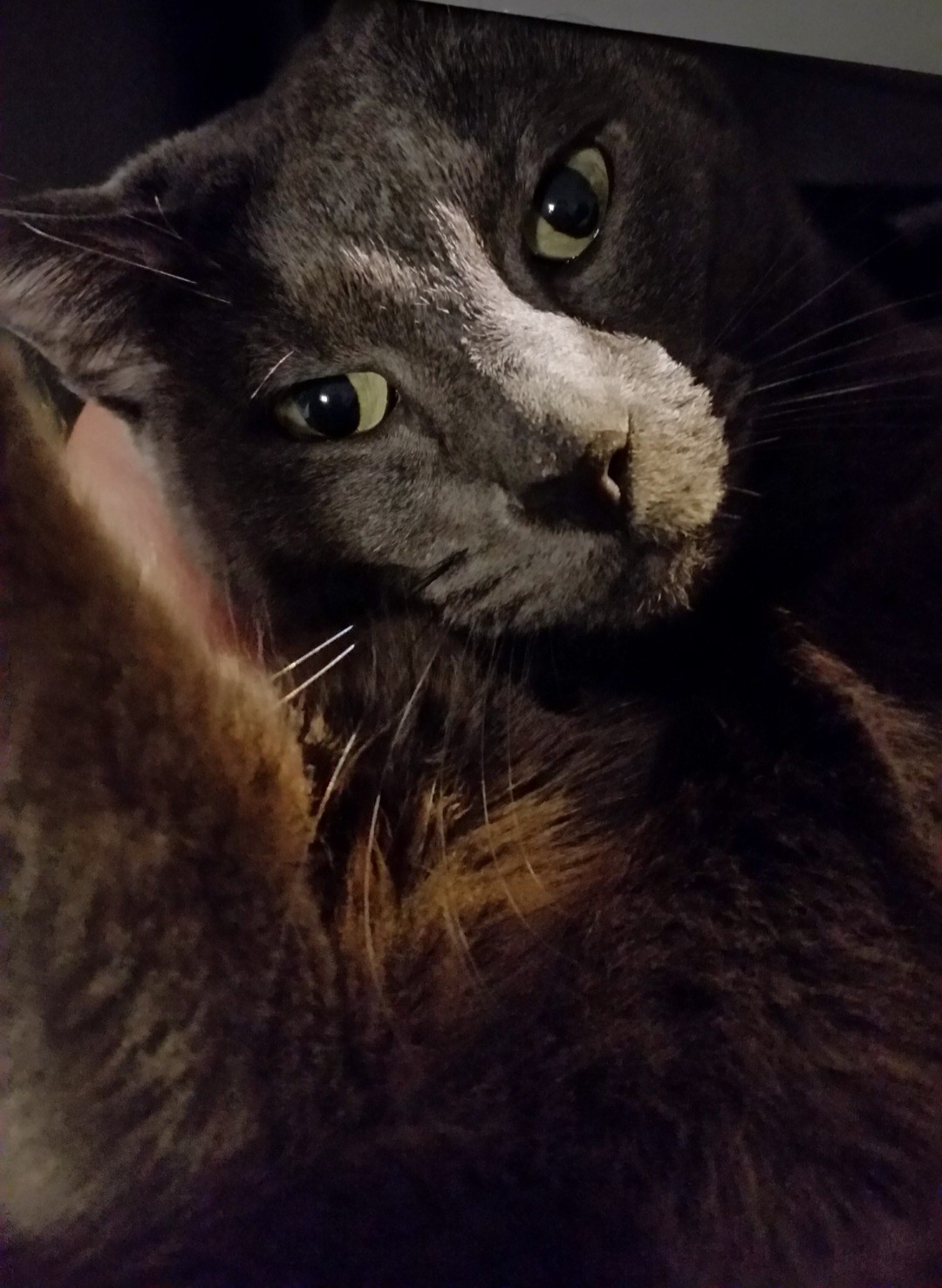Image from Luna