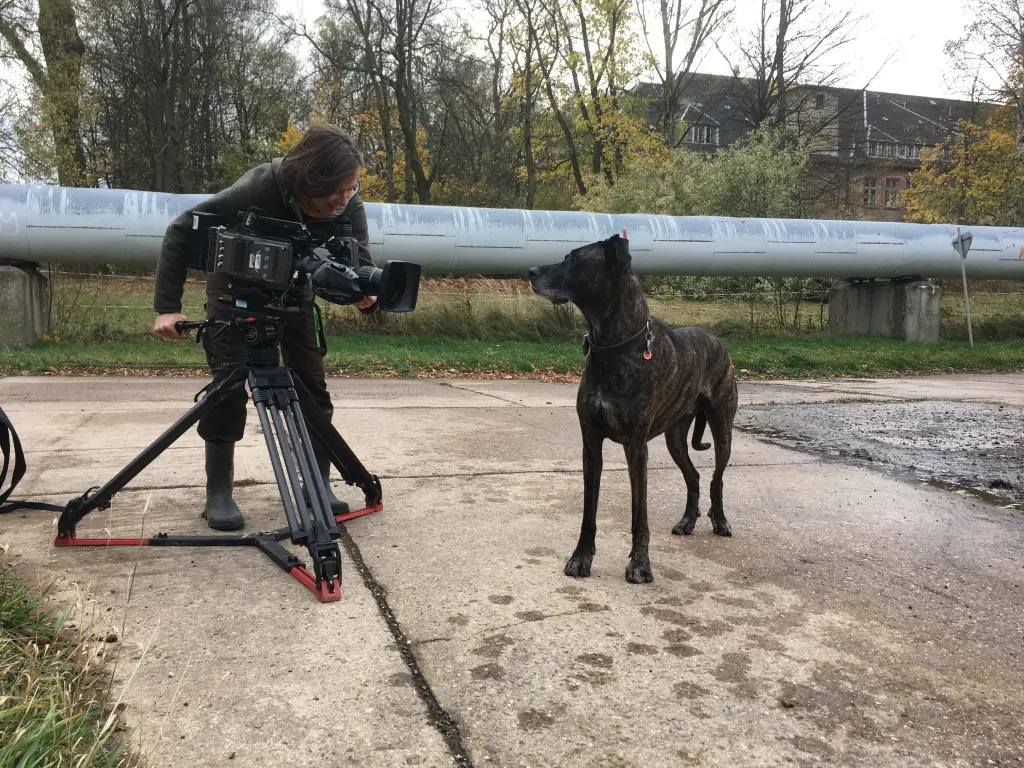 FILMSTAR