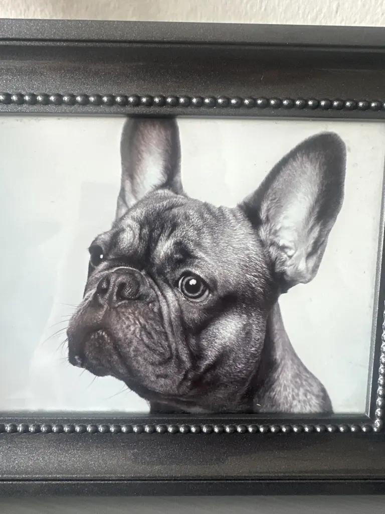 Bild von Nero