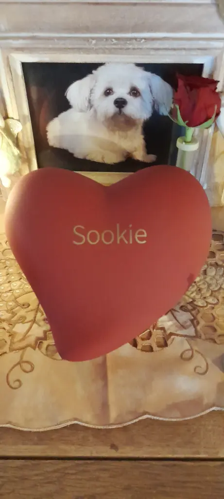 Image from Sookie
