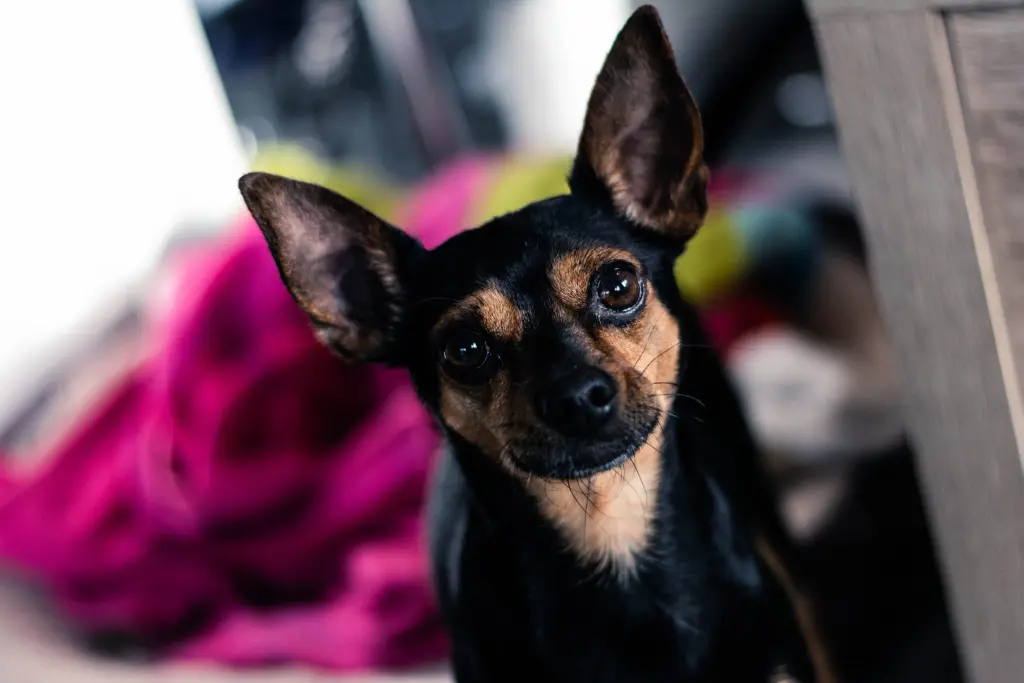 Bild von Charly