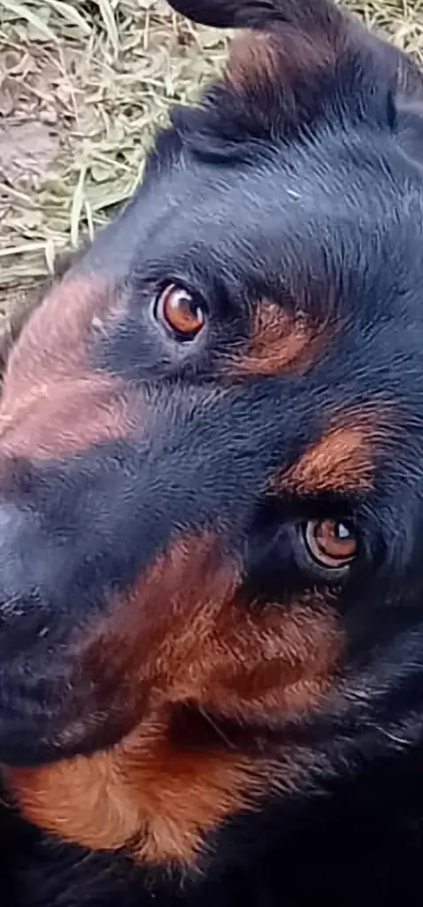 Image from Milow