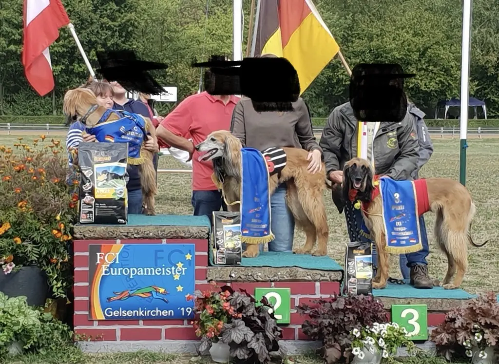 3.platz