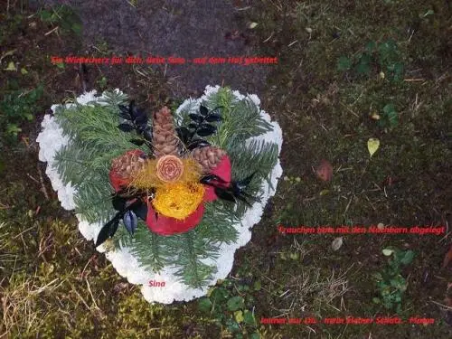 Bild von meine bewundernswerte kleine Sina