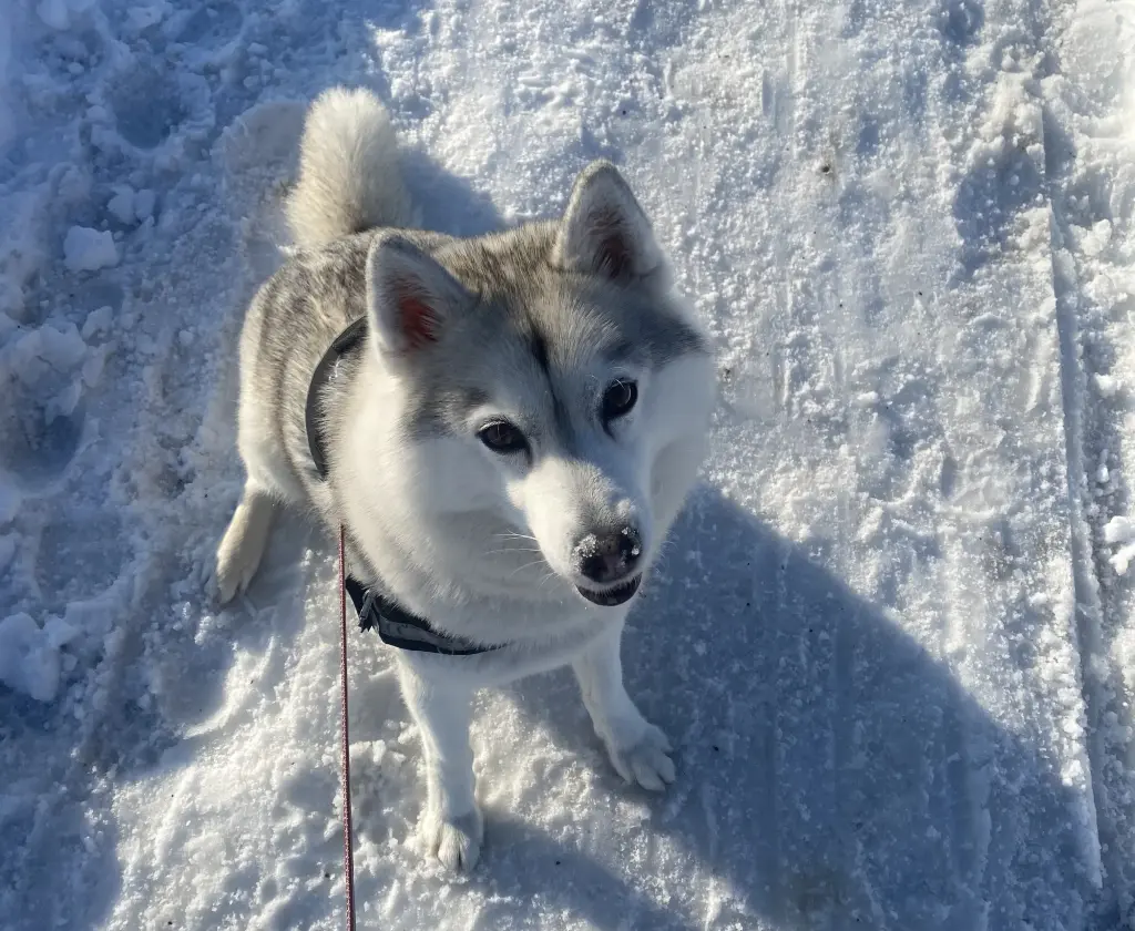 Image from Berta