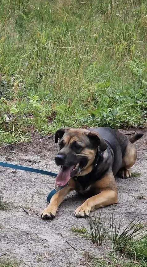 Bild von Nala