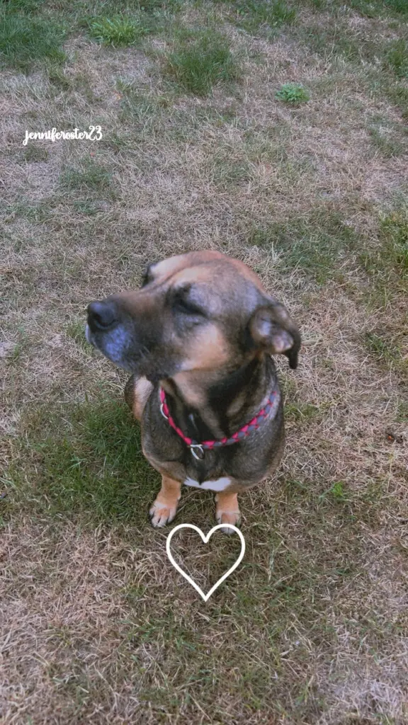 Bild von Nala