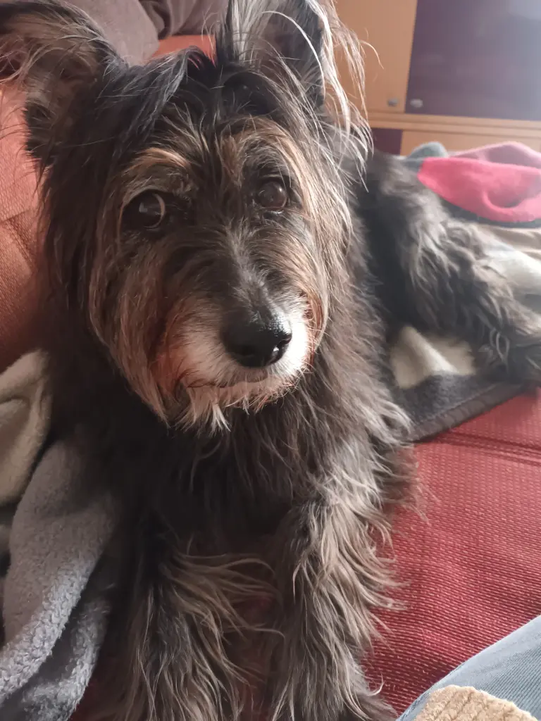 Bild von Miss Marple