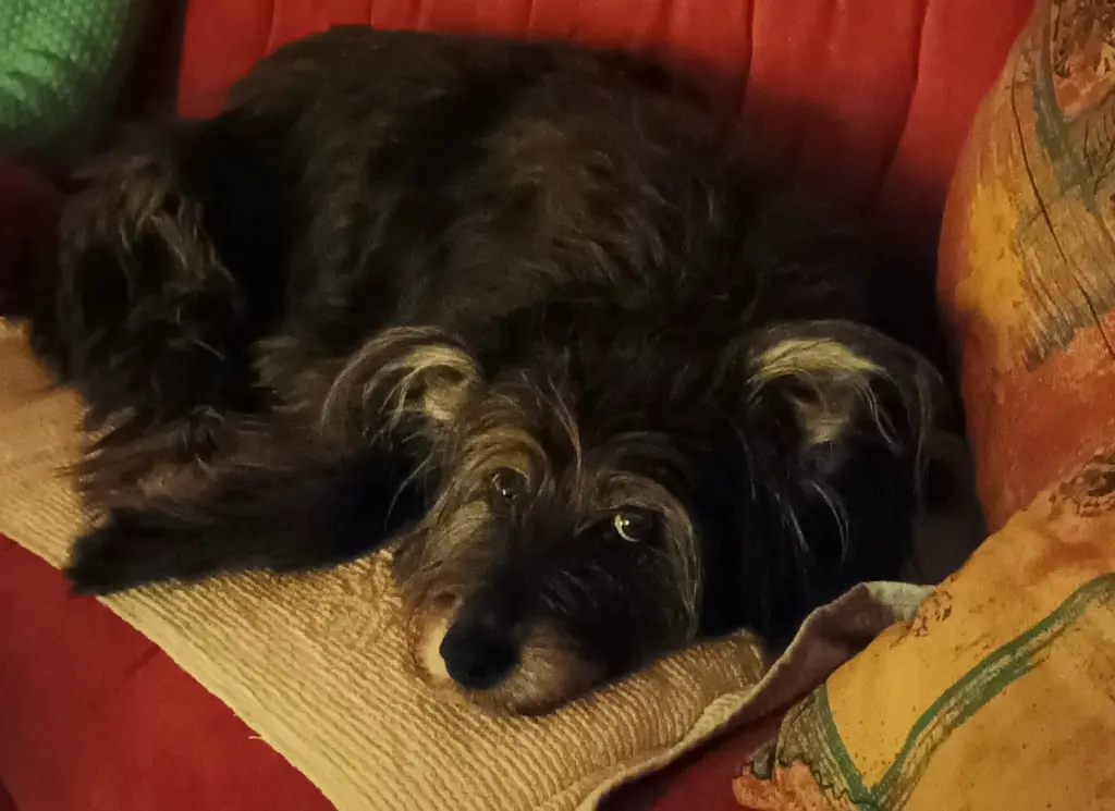 Bild von Miss Marple