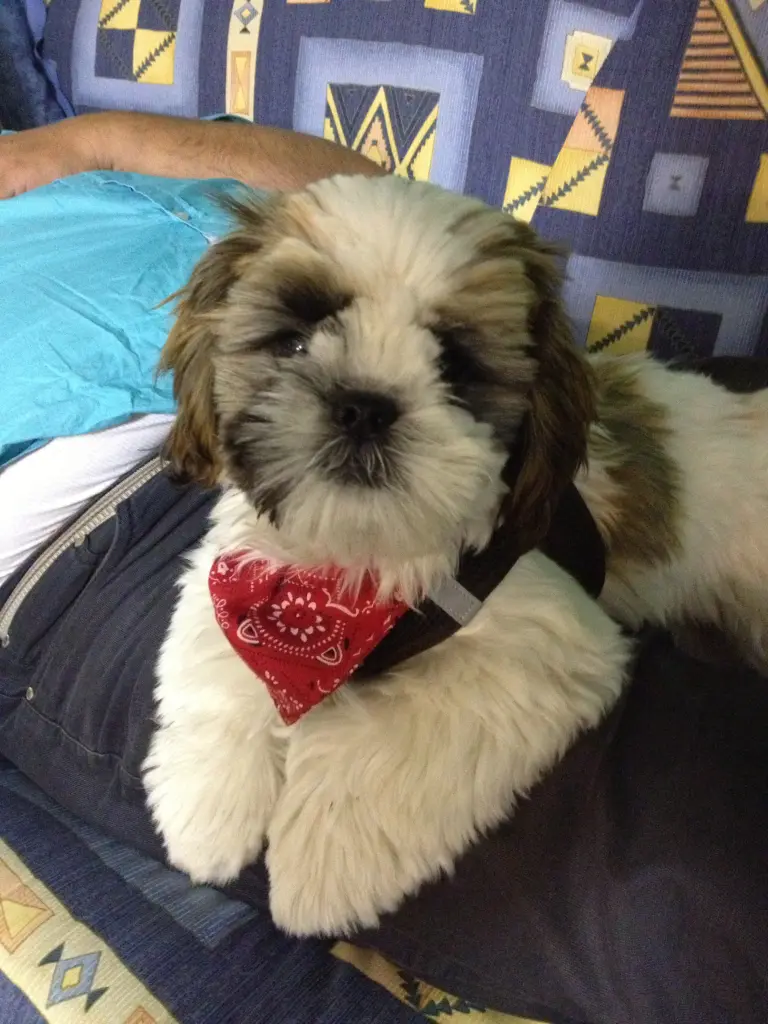Bild von Sunny