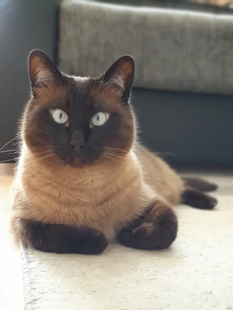 Archimedes