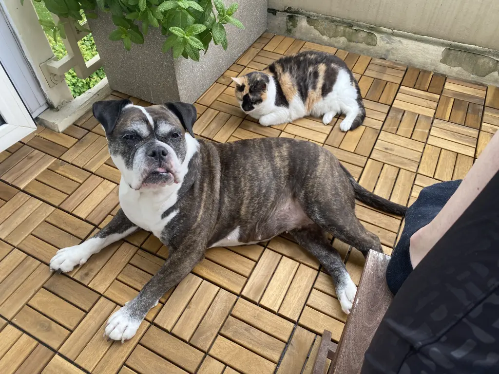 Image from Peaches