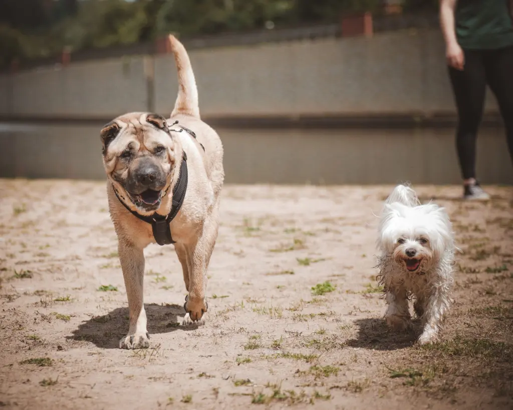 Andachtsbild von Frank &Lena
