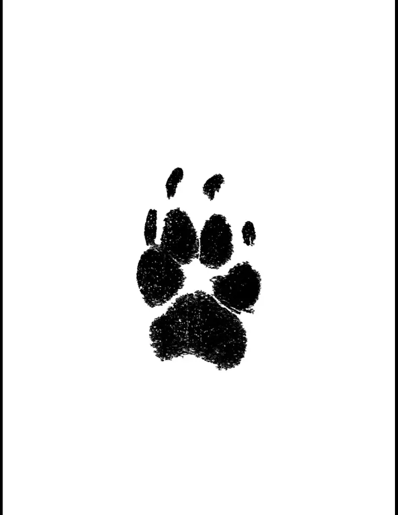 Image from Gino
