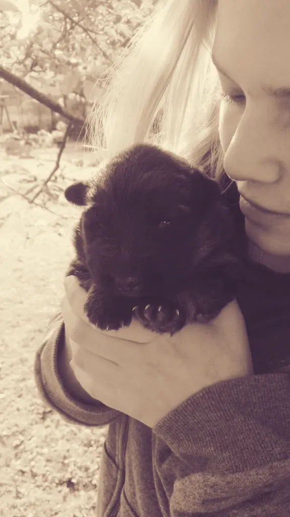 Bild von Lilo