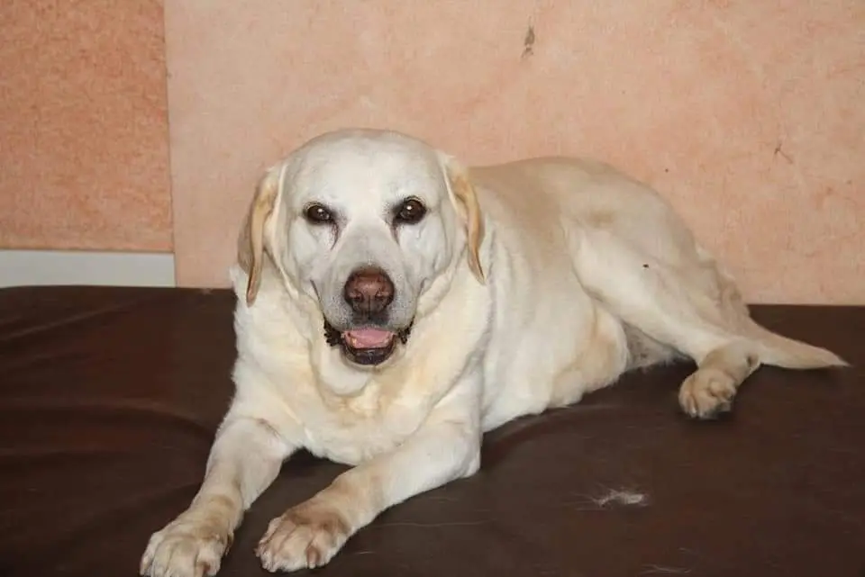 Condolence image of Jennifer Regenbrecht