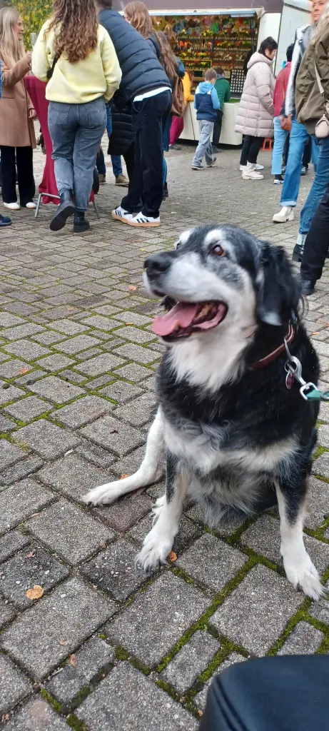 Bild von Layla