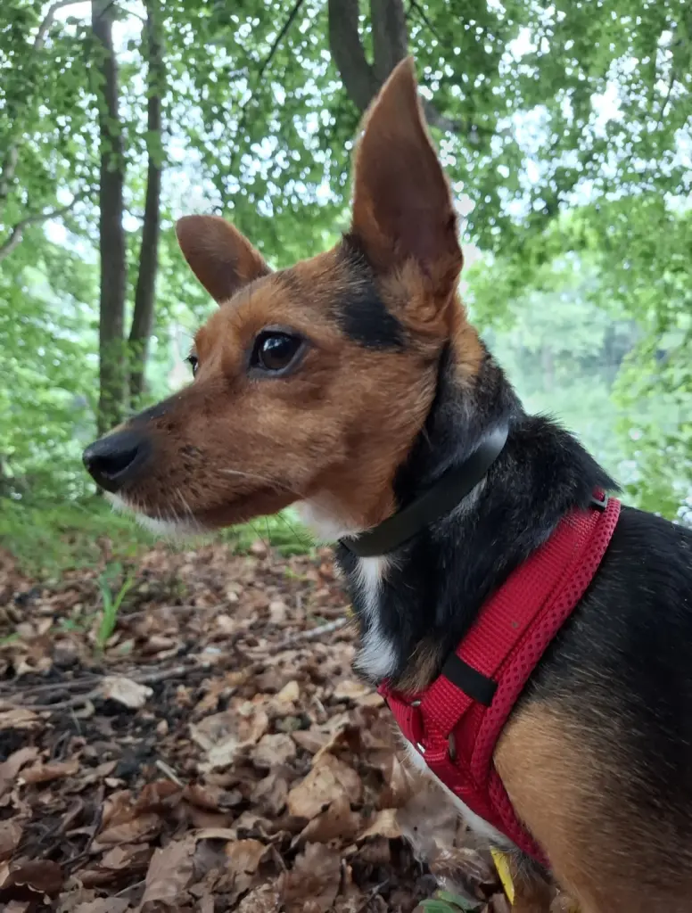 ,,Frieda ihre ersten Wanderung "