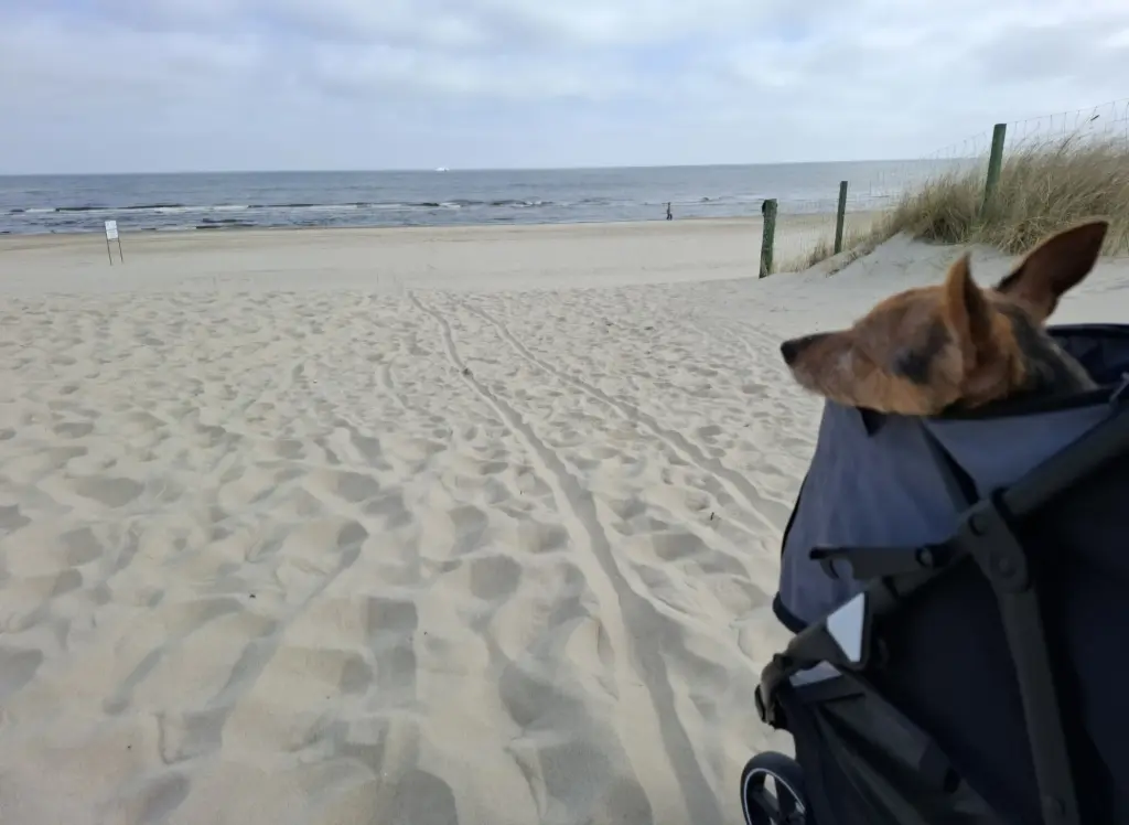 ,,Dein letzter Tag am Strand"