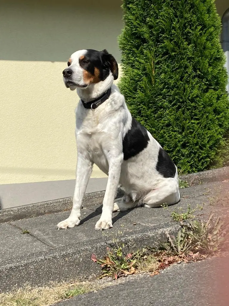 Image from Athos