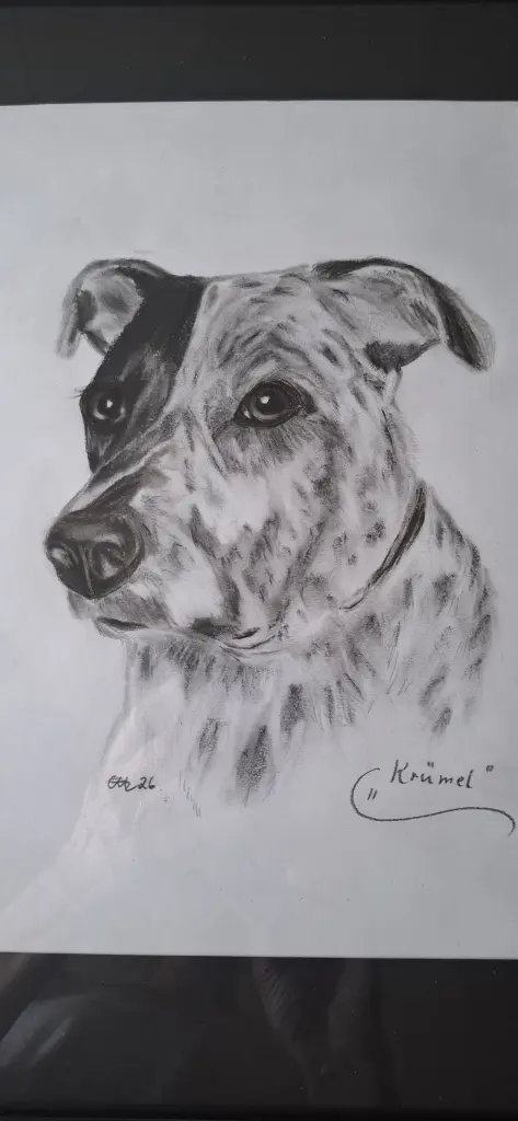 Condolence image of Claudi