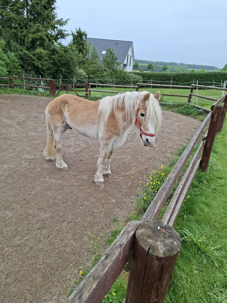 Bild von Alibi