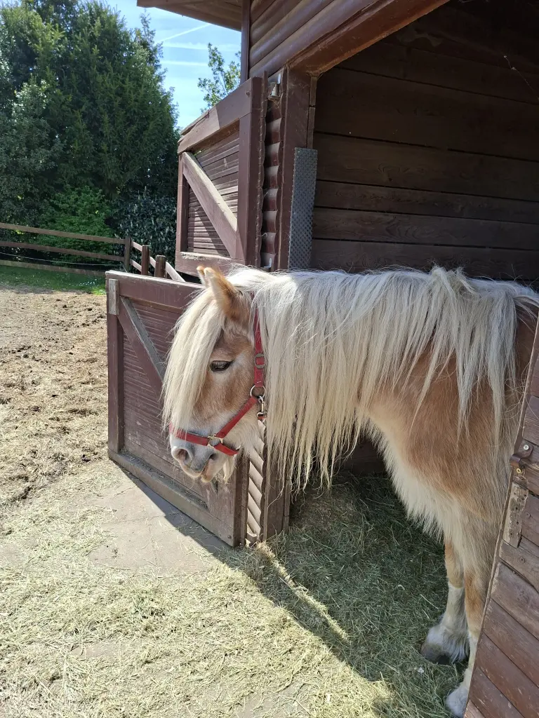 Bild von Alibi
