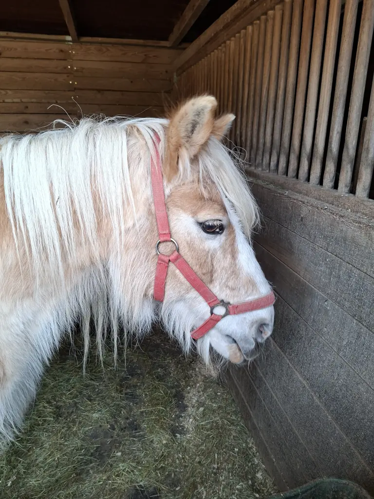 Bild von Alibi