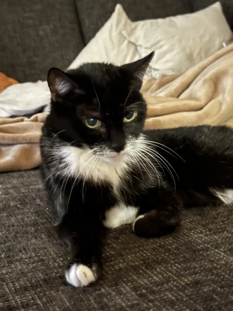 Bild von Minka
