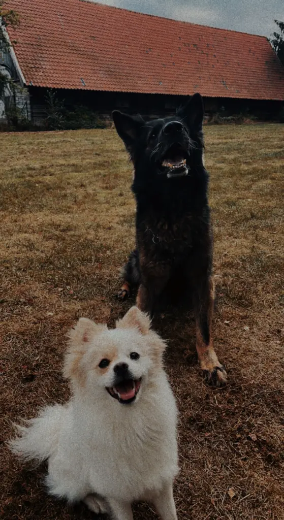 Kyven und Zeyna