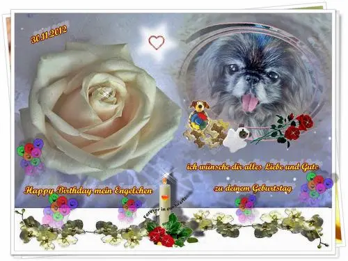 Bild von dich, mein liebes Geburtstagskind Sina