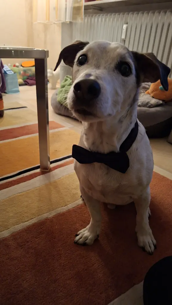 Gentleman