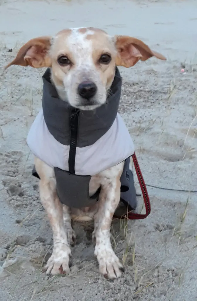 Bild von Leni