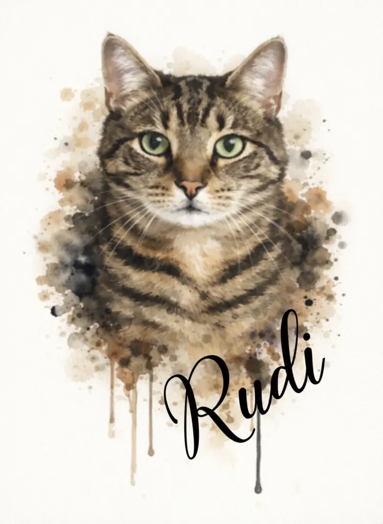 Image from Rudi
