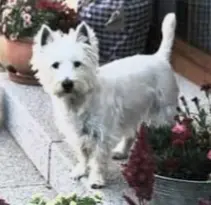 Bild von Lucky