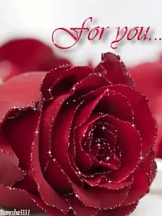 Condolence image of Rosen für Enzo ❤️ von ganzem Herzen