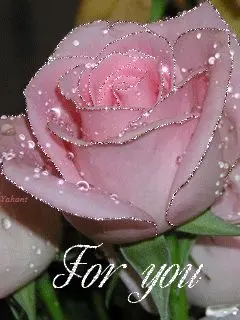 Andachtsbild von Rosen für Rufo❤️