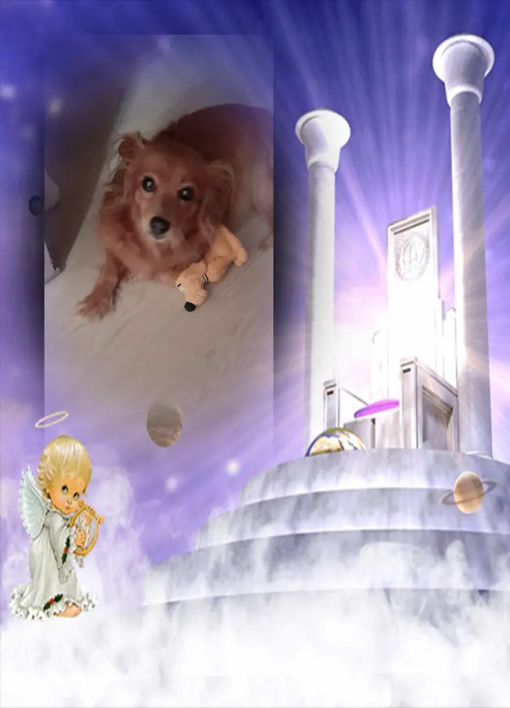 Image from Kira