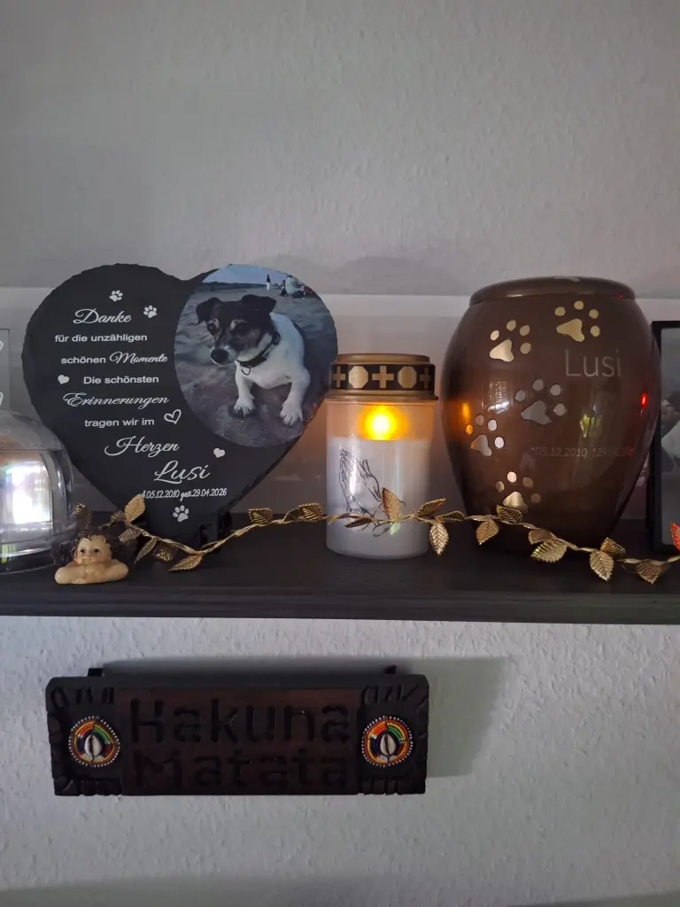 Image from Lusi