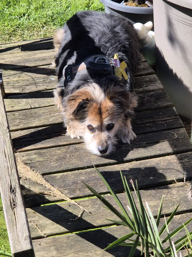 Condolence image of Ralf