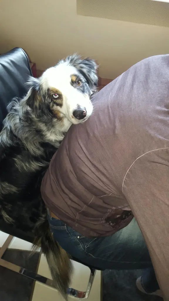 Bild von Kaylah
