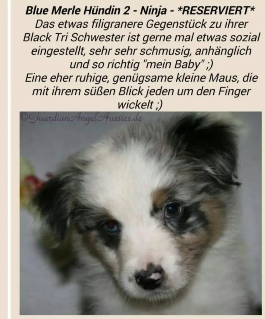 So fing alles an