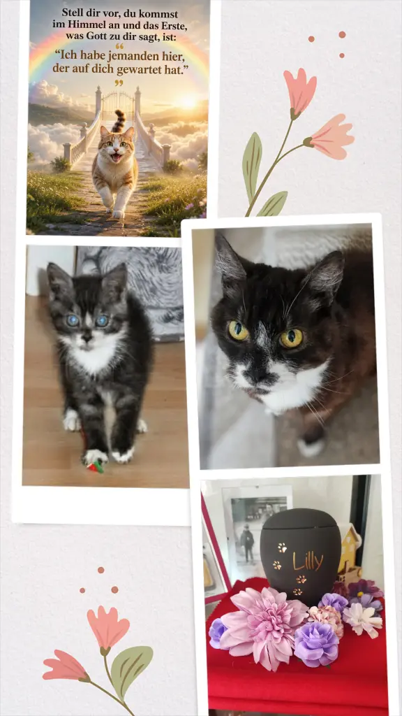 Bild von Lilly