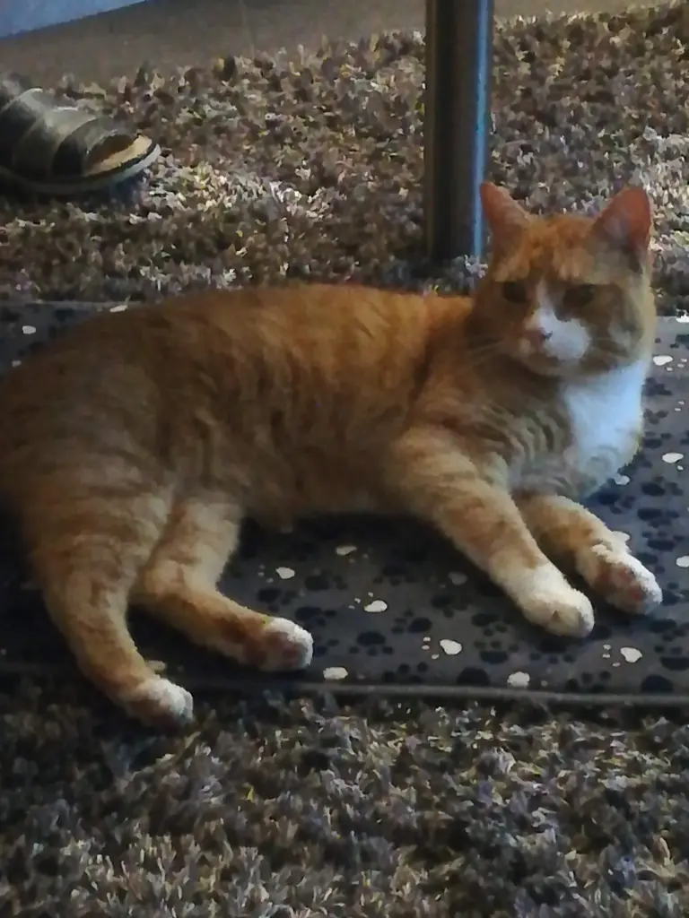 Bild von Luki